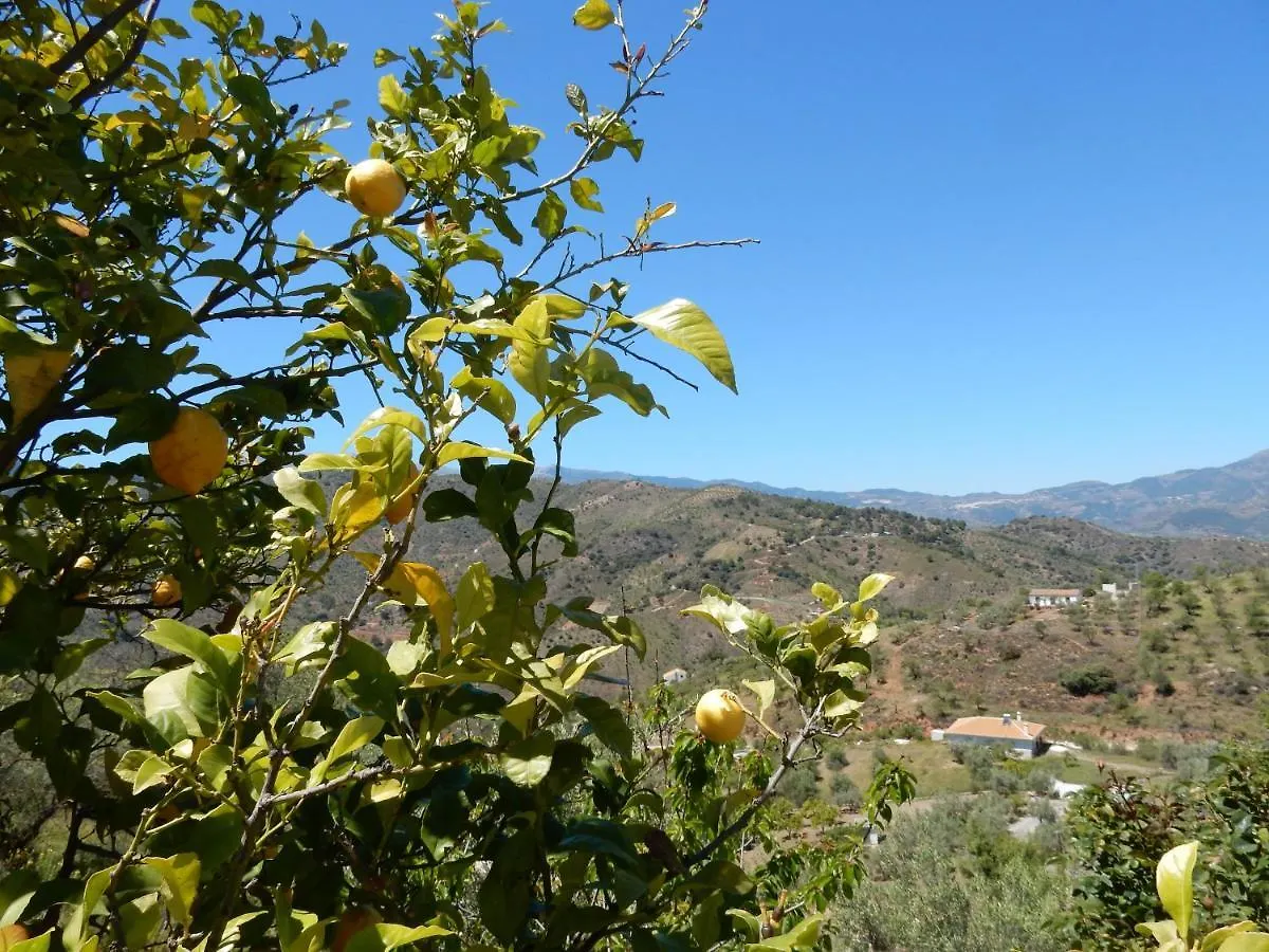 Casa Del Limonero Apartment Guaro Spain